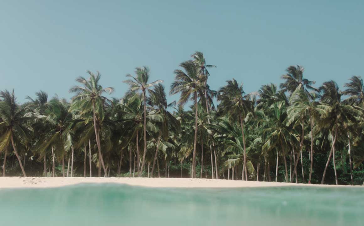Bay Vista – Arugam Bay — East Coast (Passikudah / Trincomalee / Arugam Bay)